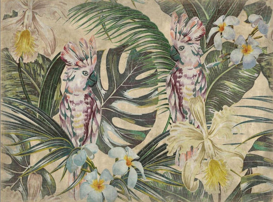 Wall decor - Cacatoes