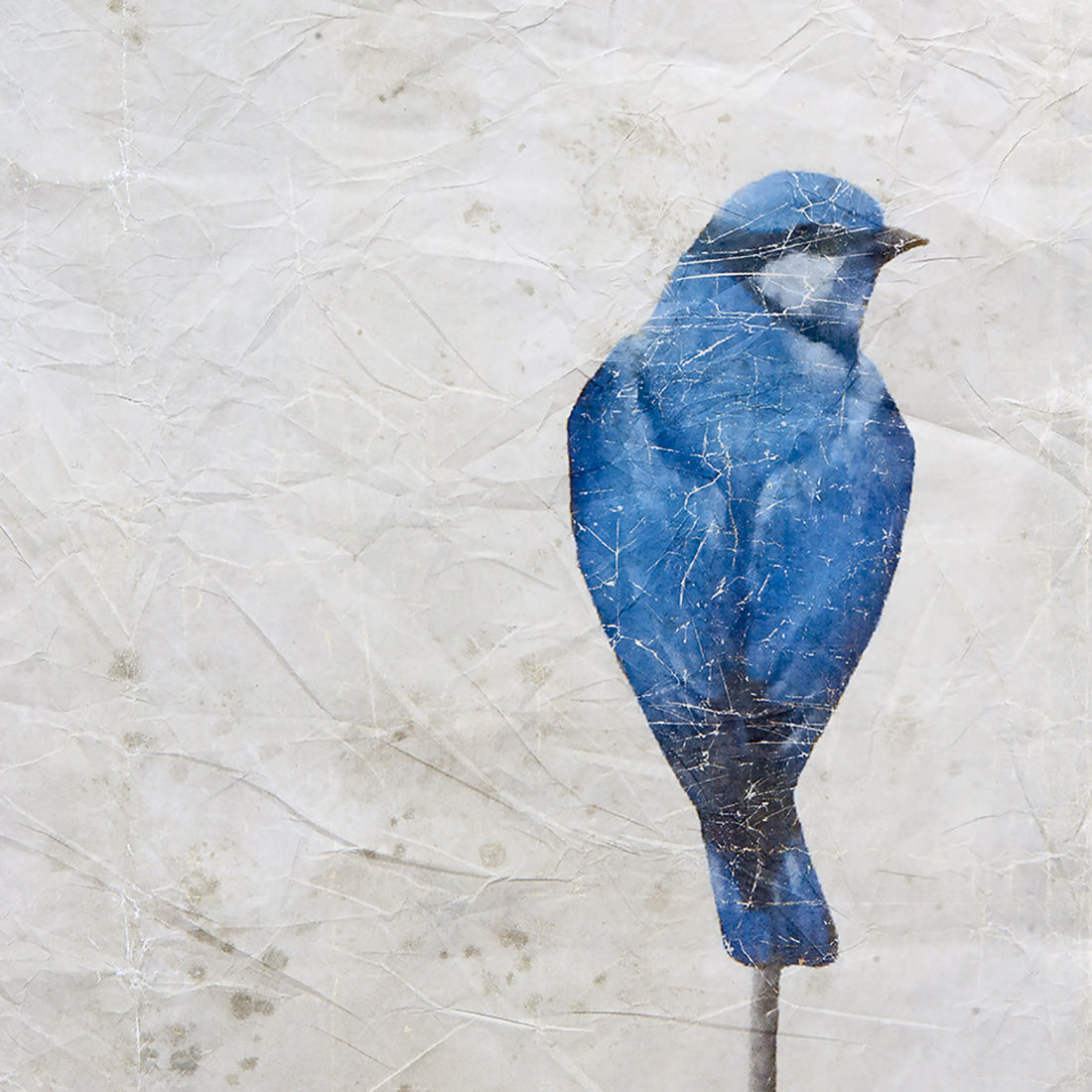 Wall decor - Blue Birds