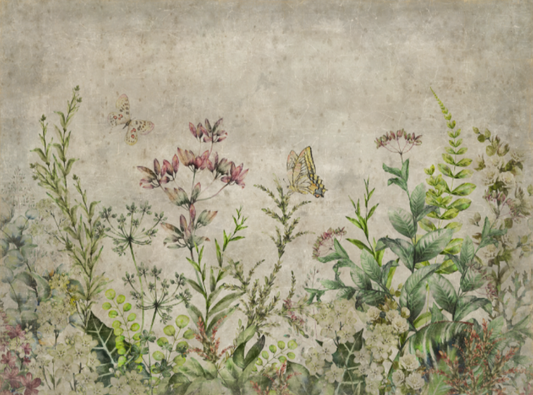 Wall decor - Colchiques